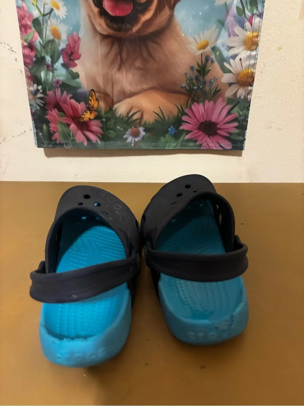 CROCS Kids' Clog in Black with Bright Blue Lining